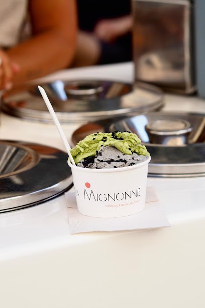 Glacier Triporteur Marseille - La Mignonne, Marchand de Glaces à Marseille 06