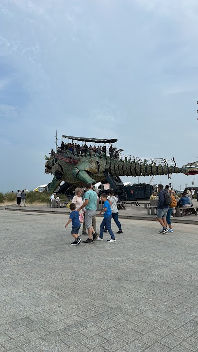 Sigler Alexandrine, Marchand de Glaces à Calais